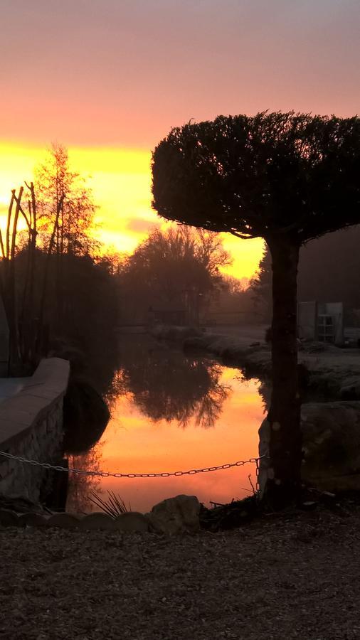 Hotel Restaurant Le Moulin De La Renne Adults Only Proche Zoo De Beauval Thesee Bagian luar foto